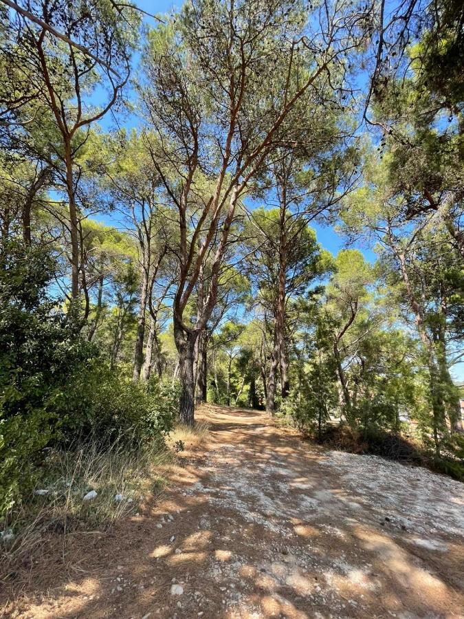 Forest Hill بولا المظهر الخارجي الصورة