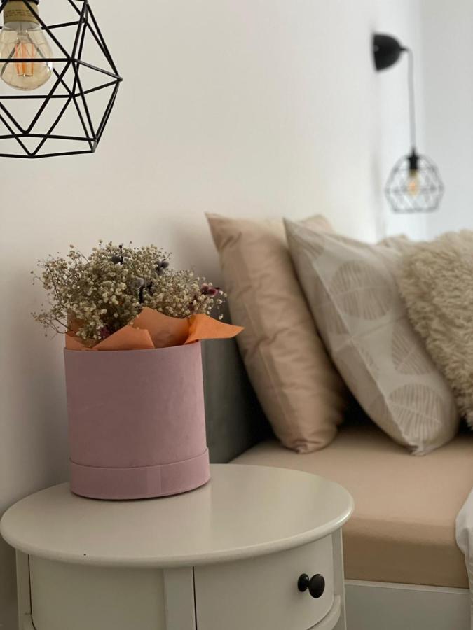Forest Hill بولا المظهر الخارجي الصورة